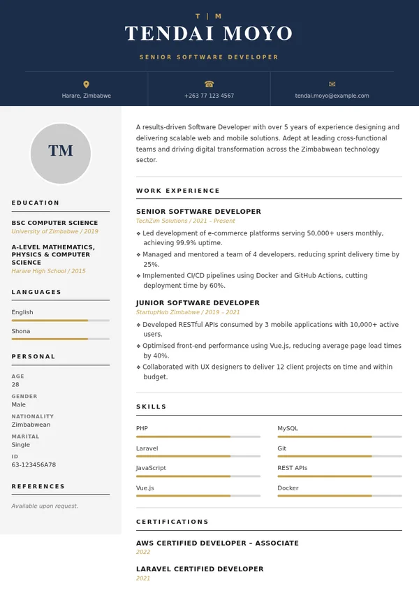 Creative CV template with sample professional experience, education and skills