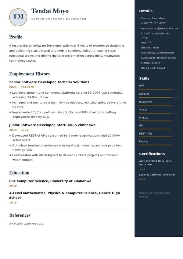 Executive CV template with sample professional experience, education and skills