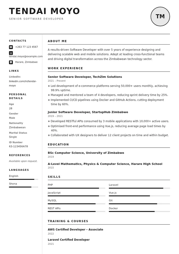 General CV template with sample professional experience, education and skills